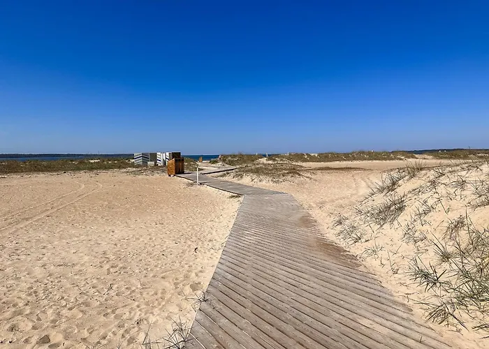 Pine Forest House Villa